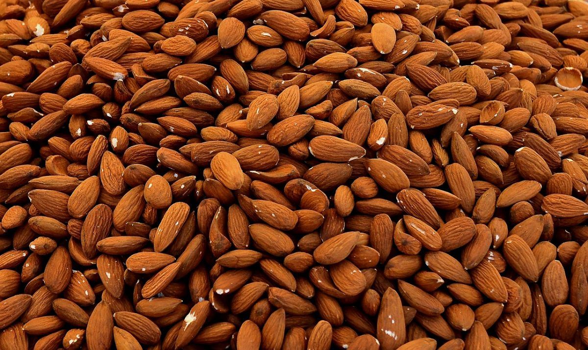 A lot of almonds